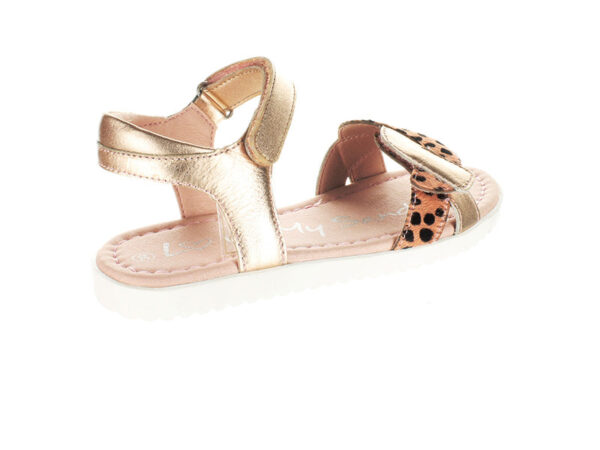 SUREFIT Emma Rose Gold - The Podiatry Place @ Henley